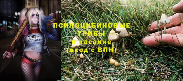 шишки Алзамай