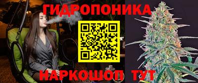 дмт Малгобек