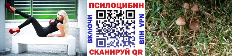 Галлюциногенные грибы Cubensis Ишим