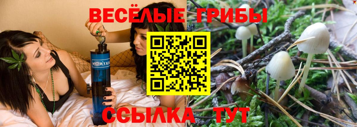 Ишим  Псилоцибиновые грибы Magic Shrooms  Псилоцибиновые грибы прущие грибы  Вход с VPN 